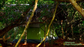 Sigiri Jungle Camping
